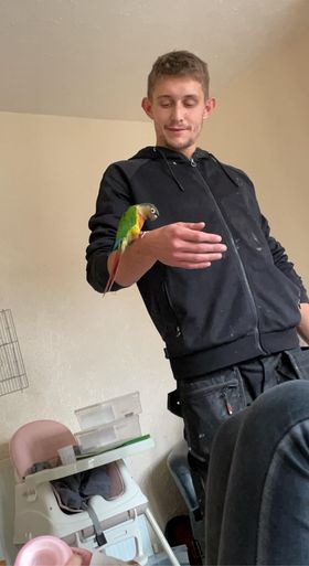 Skittles, a customer's Conure