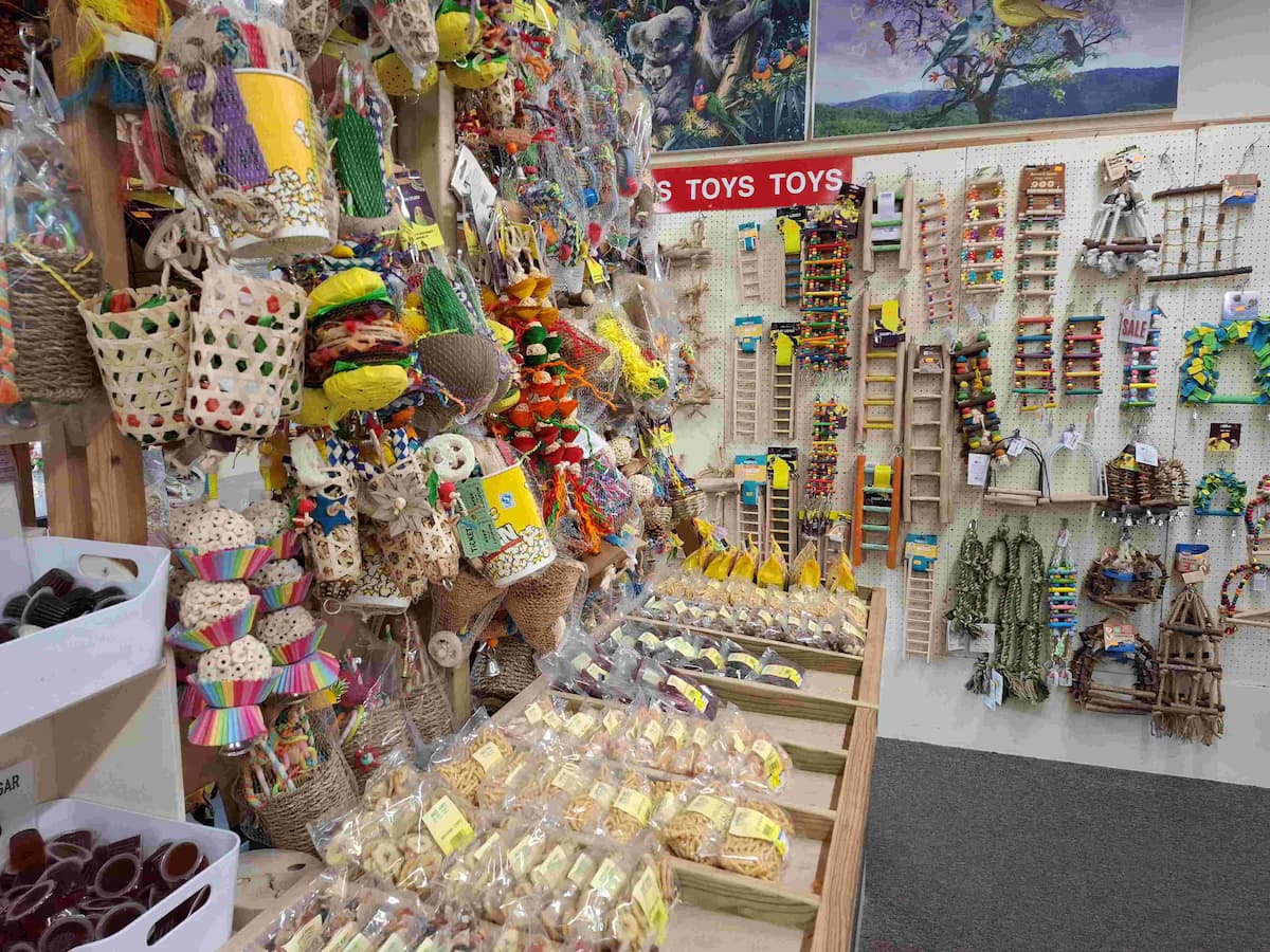 Foraging Toys
