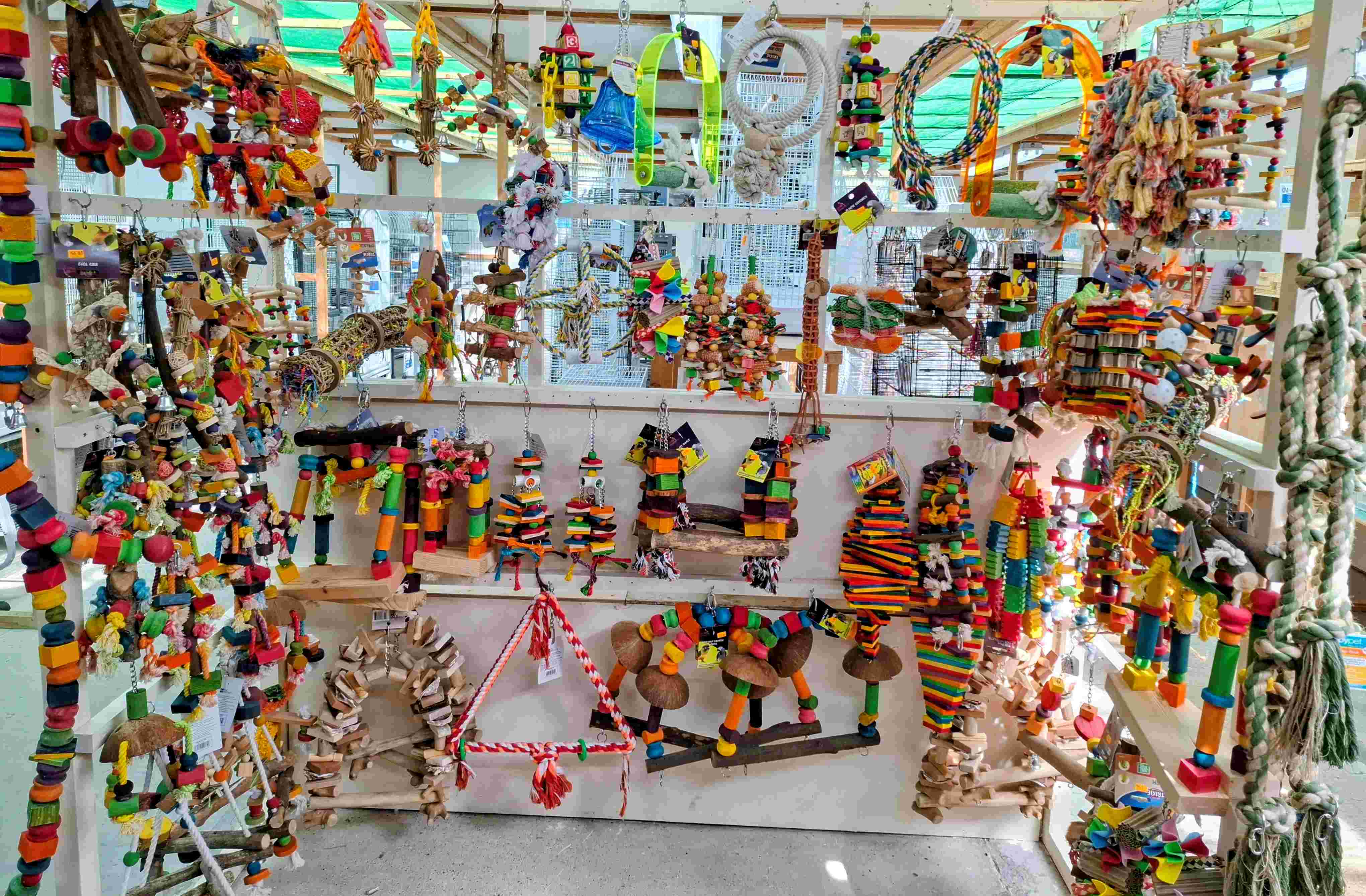 Large Parrot Toys