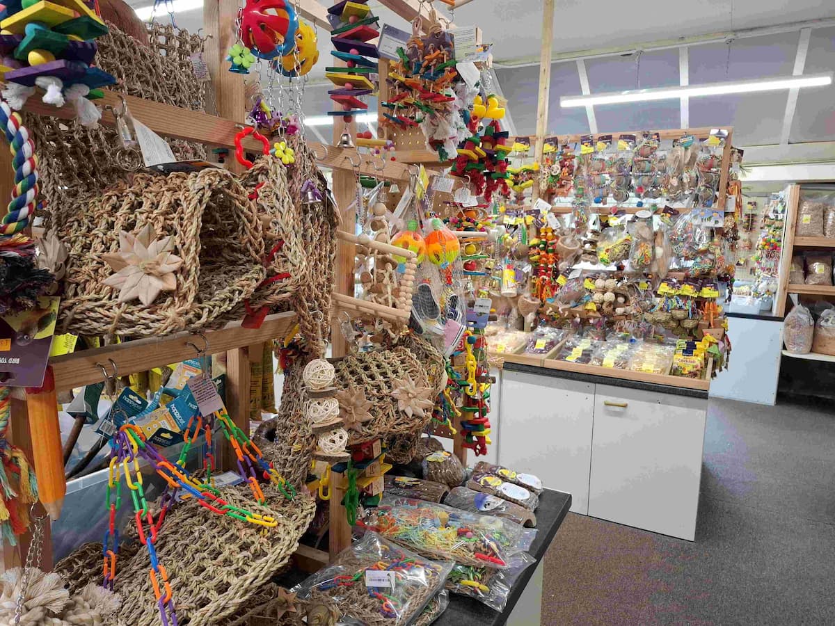 Natural Toys