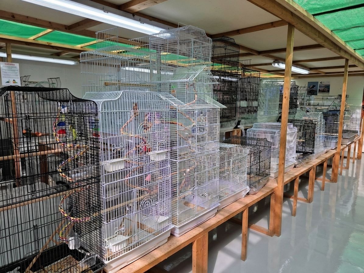Ready-to-Go Cages